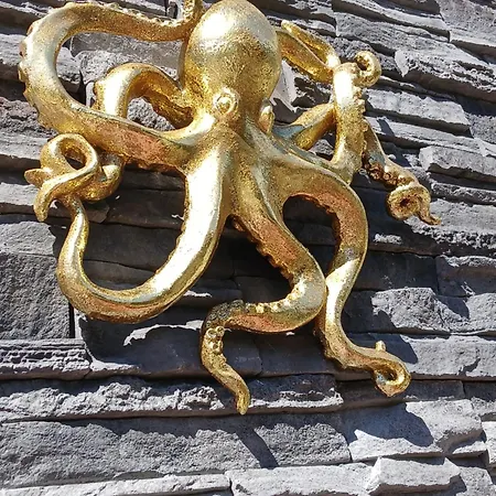 Octopus Apartman